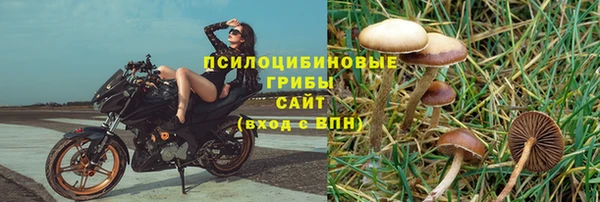 бошки Богданович